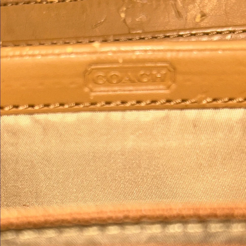 Coach Park Python Continental Long Wallet  Beige & Brown  Pte- owned